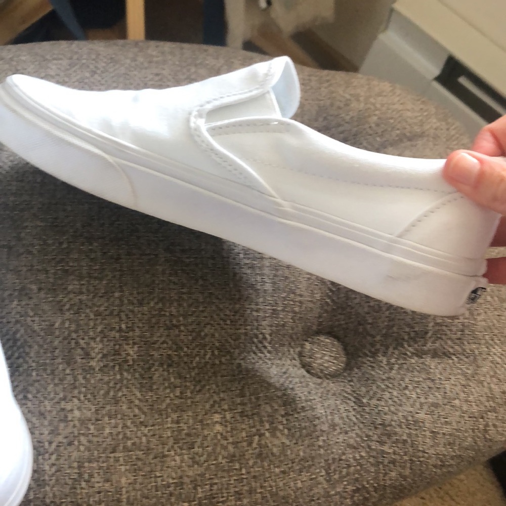 Canvas Vans - Picture 4 of 5